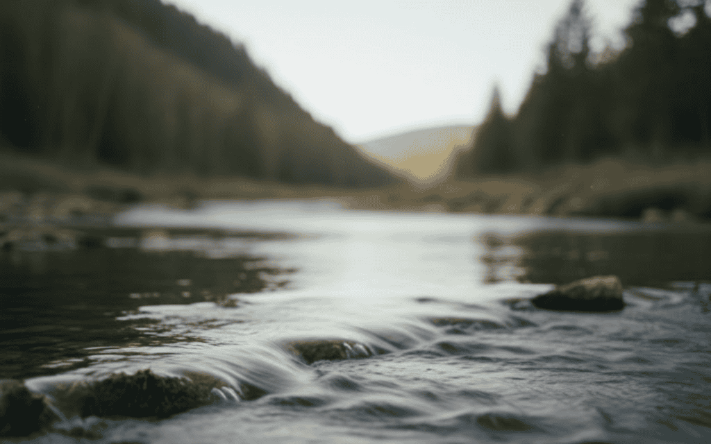 A low flowing river in a forested foothills area.