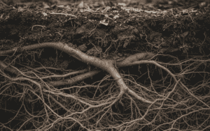How Subconscious Beliefs Form (& Why They Stick)