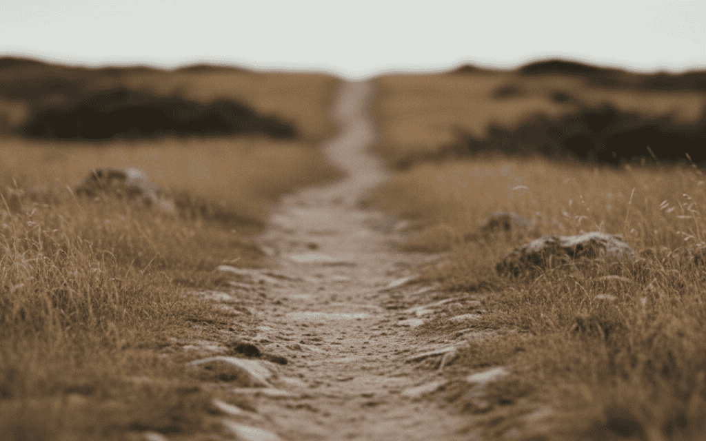 A dry, worn path going across fairly flat ground.