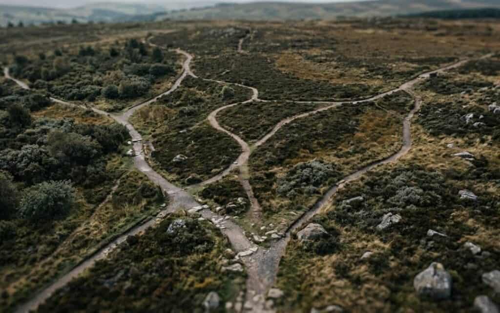 hidden-logic-behind-indecision Overhead view of multiple narrow paths branching and reconnecting in a quiet natural landscape