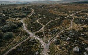 The Hidden Logic Behind Indecision